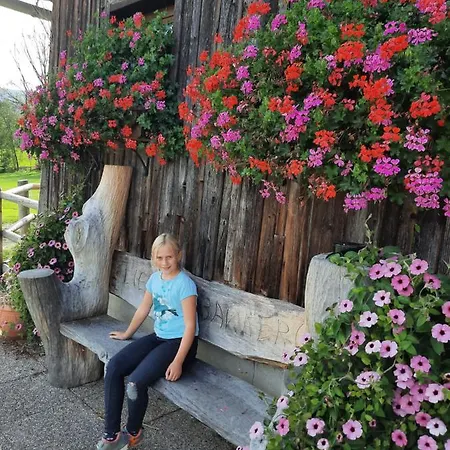 Serner Am * זל אם מוס