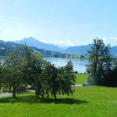 Serner Am Zell am Moos