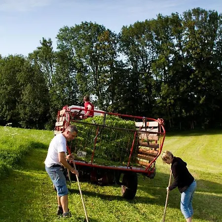 Serner Am בית חווה