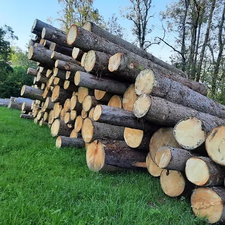 Serner Am בית חווה זל אם מוס