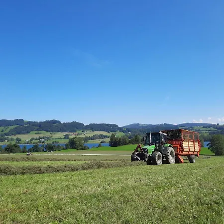 Serner Am Lantgård Zell am Moos