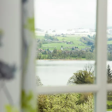 Serner Am Farm stay Zell am Moos
