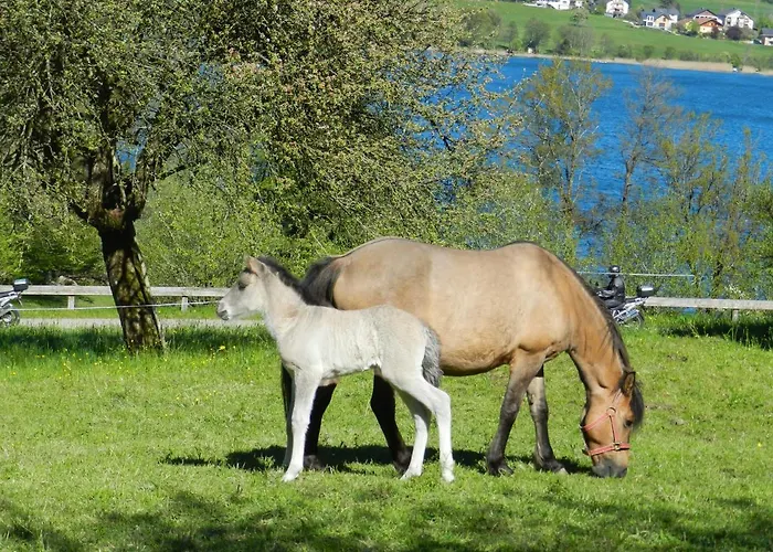 Serner Am Feriegård