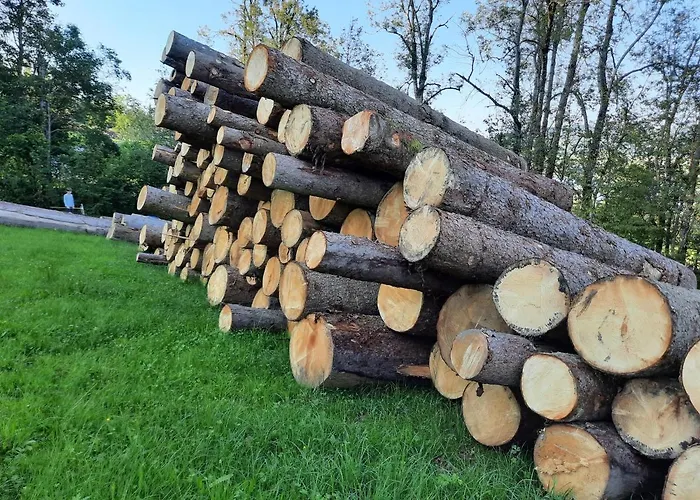 Serner Am Bauernhof Zell am Moos