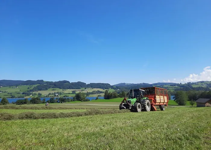 Serner Am Bauernhof Zell am Moos