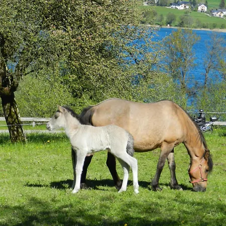 Serner Am Feriegård