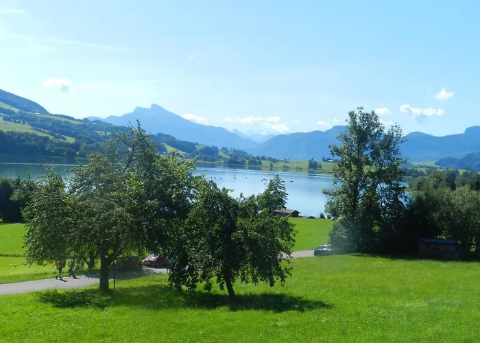 Serner Am Zell am Moos