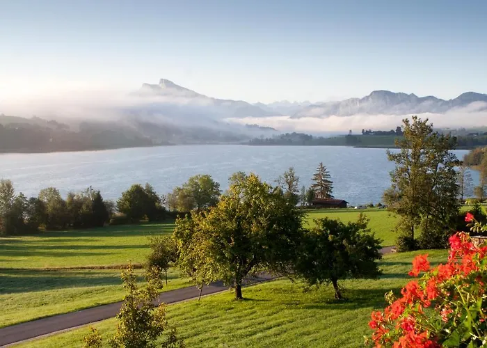 Serner Am Lantgård Zell am Moos